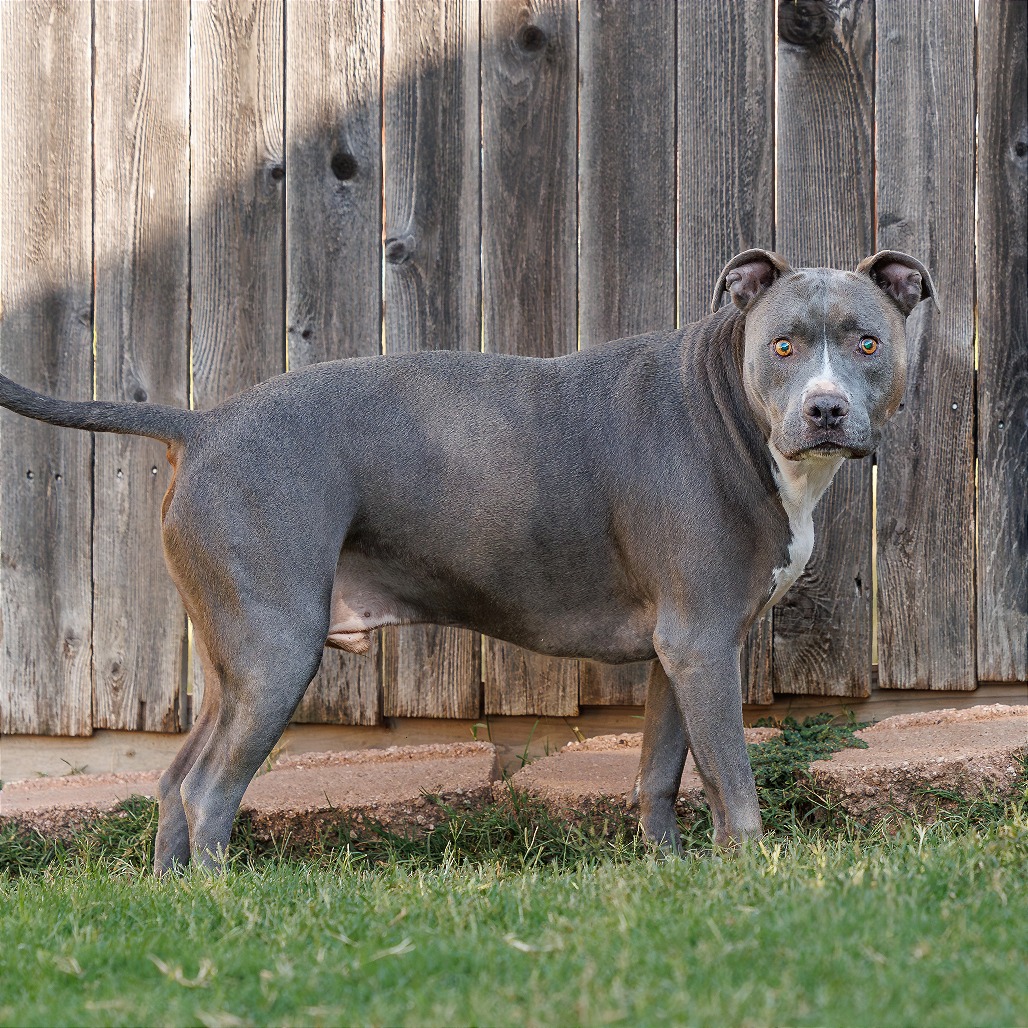 Blue, photo 6