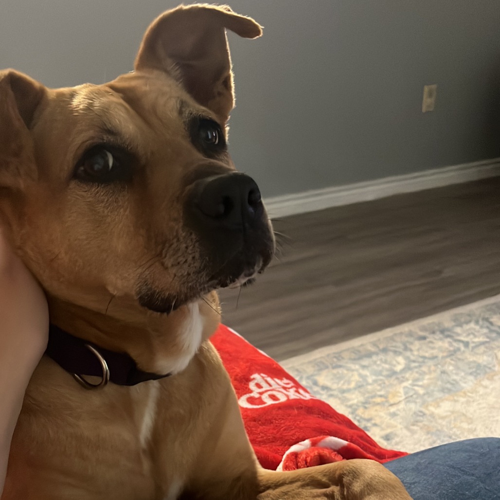 Lilly, photo 34