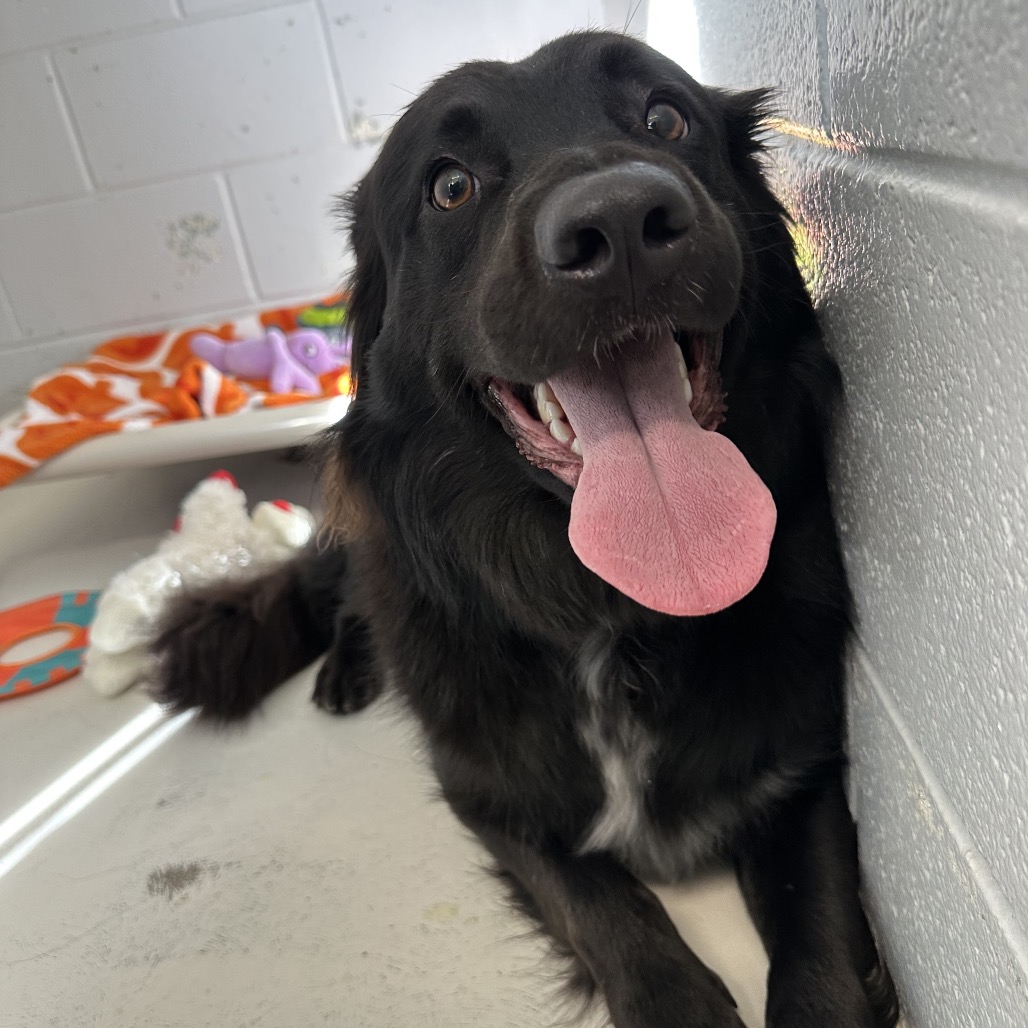 Edwin — thumbnail 3