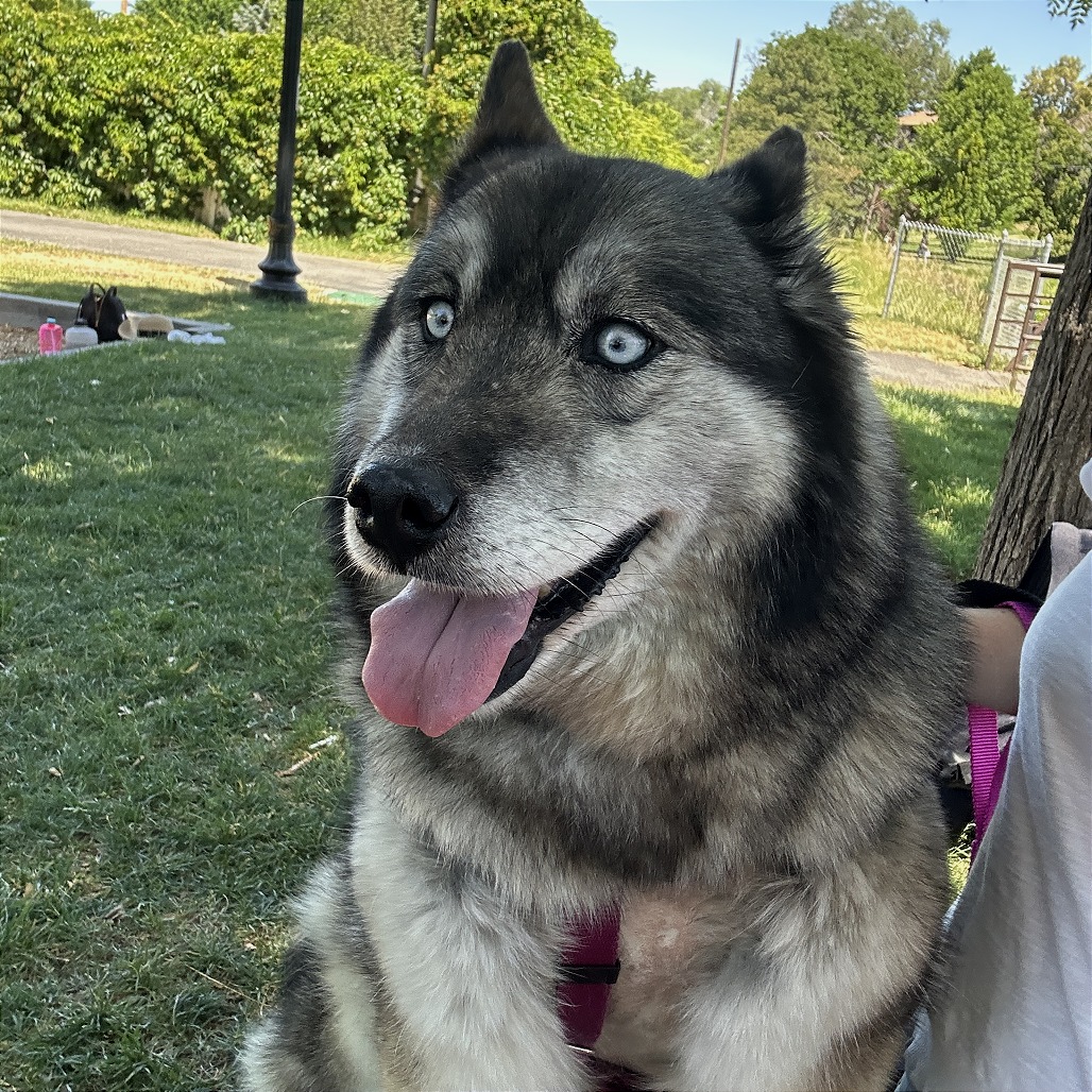 Bella, additional photo