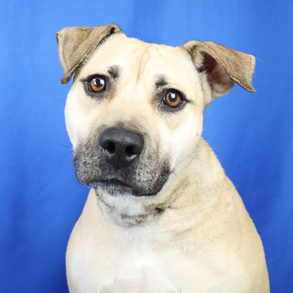 Enzo - 051302U