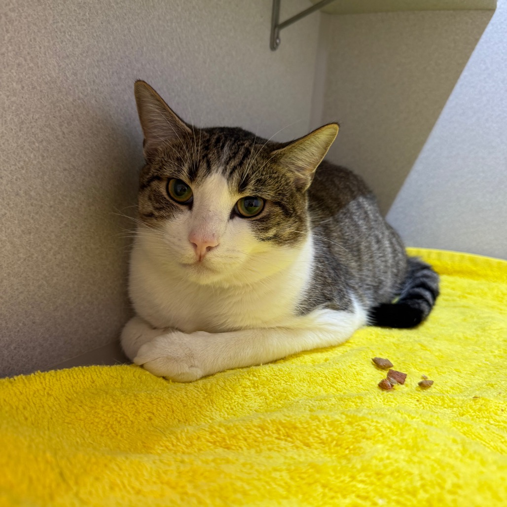 Photo of Nick Carraway 23