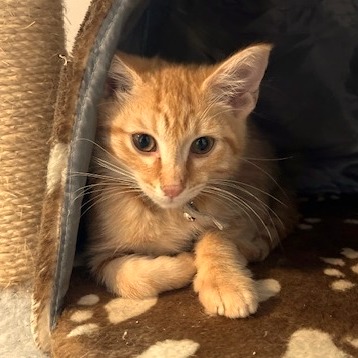 Rusty