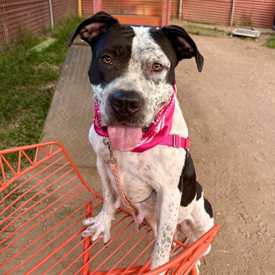 Peachy Keen — thumbnail 7