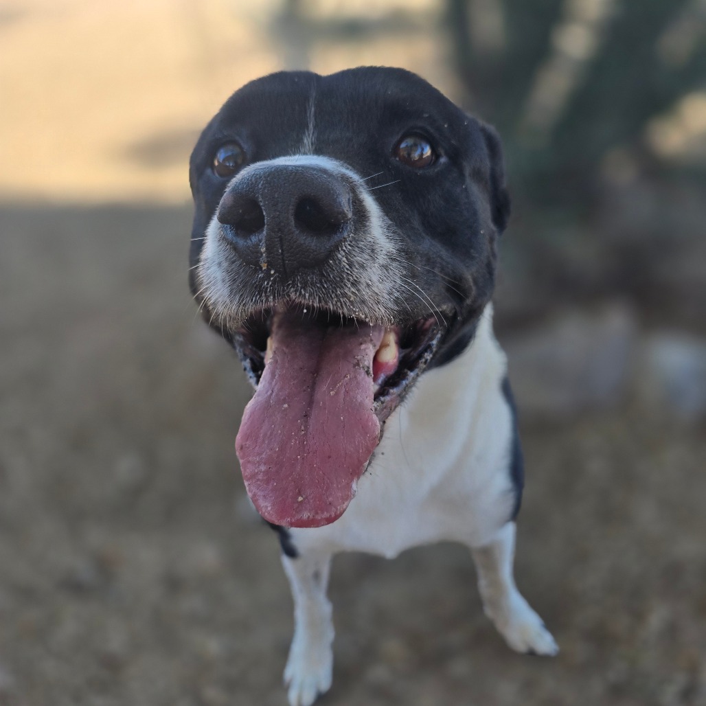 Doug, photo 6