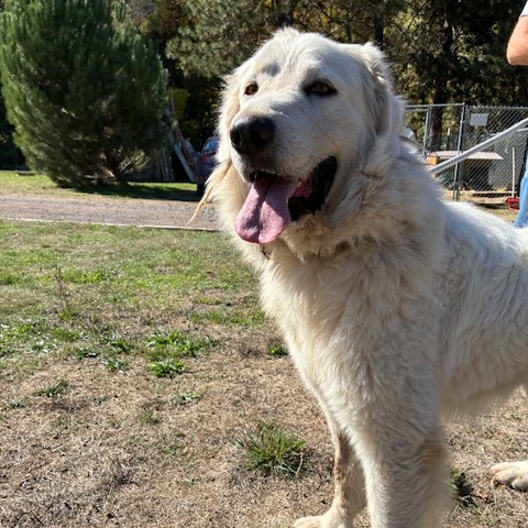 SAMMY, photo 3