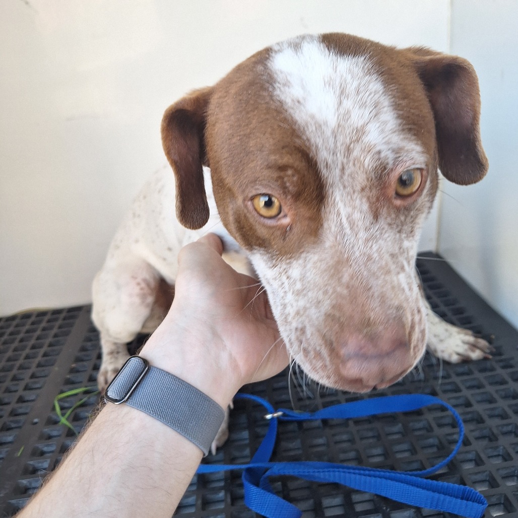 Kennel#6's preview photo