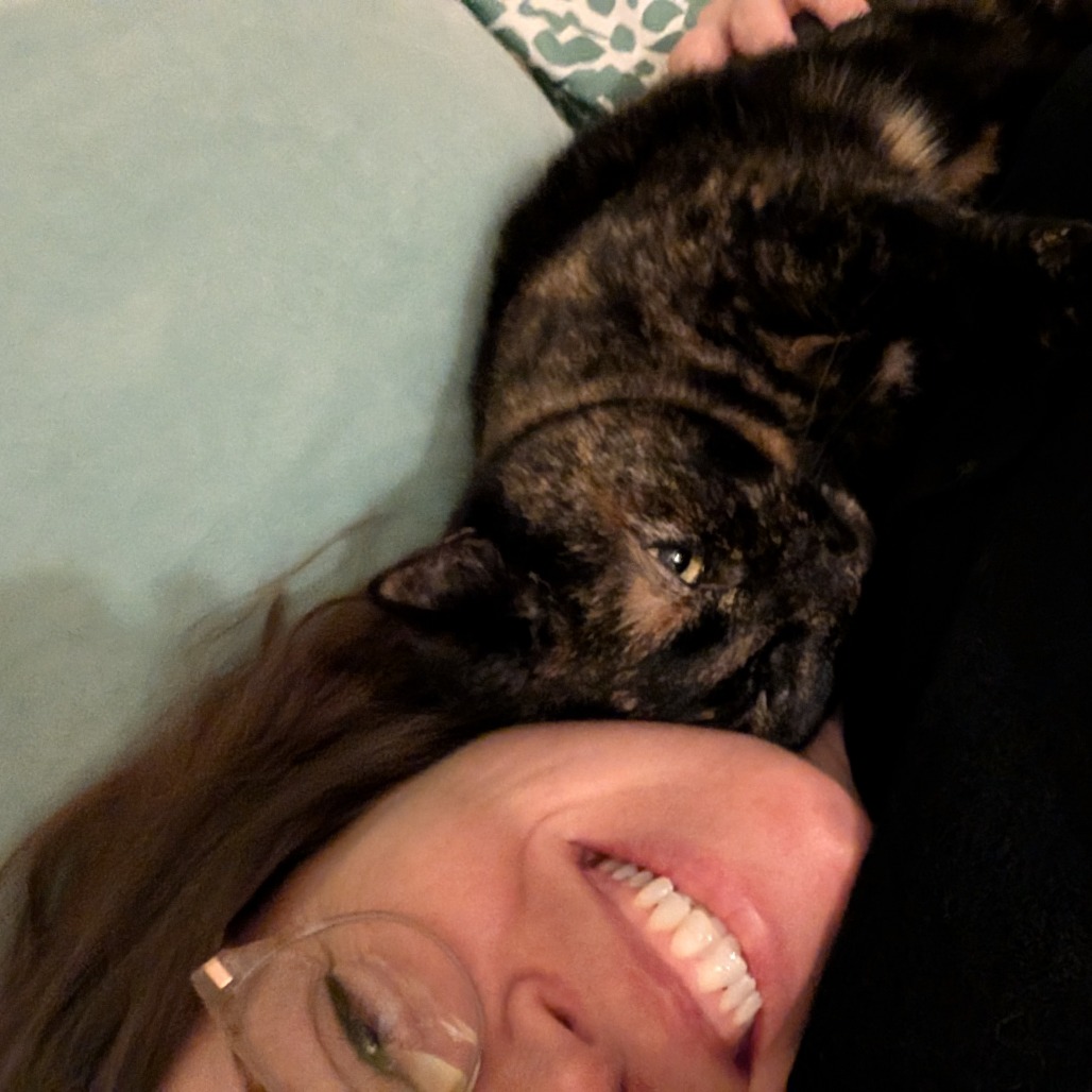 Kitty-In Foster — thumbnail 11