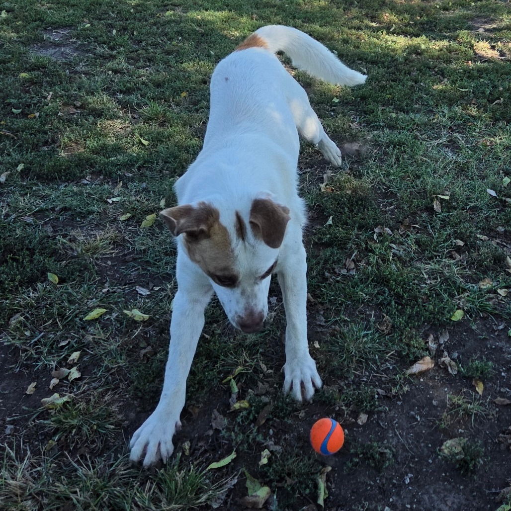 Tex photo 16
