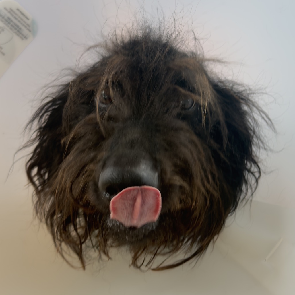 Oodle