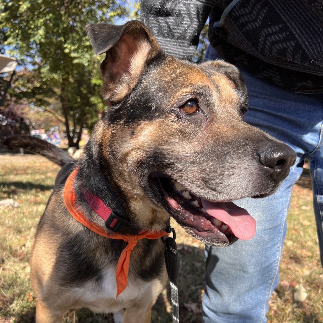 Ranger, photo 15