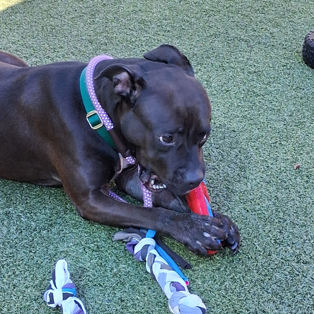 Elsie, photo 18