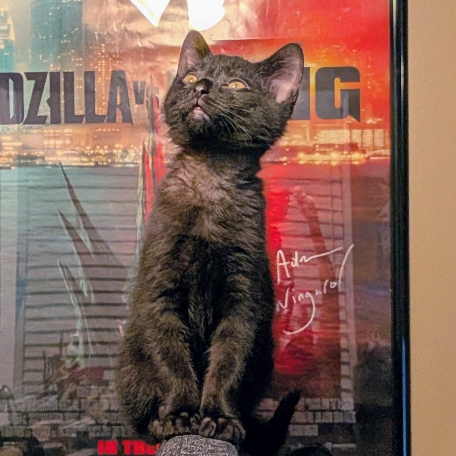 Pixel, photo 6