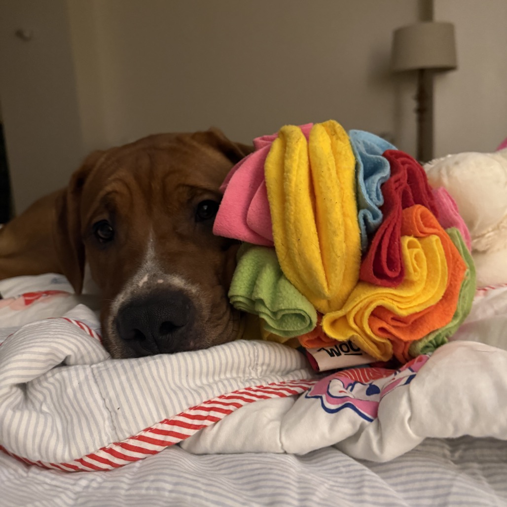 Gumbo, photo 20
