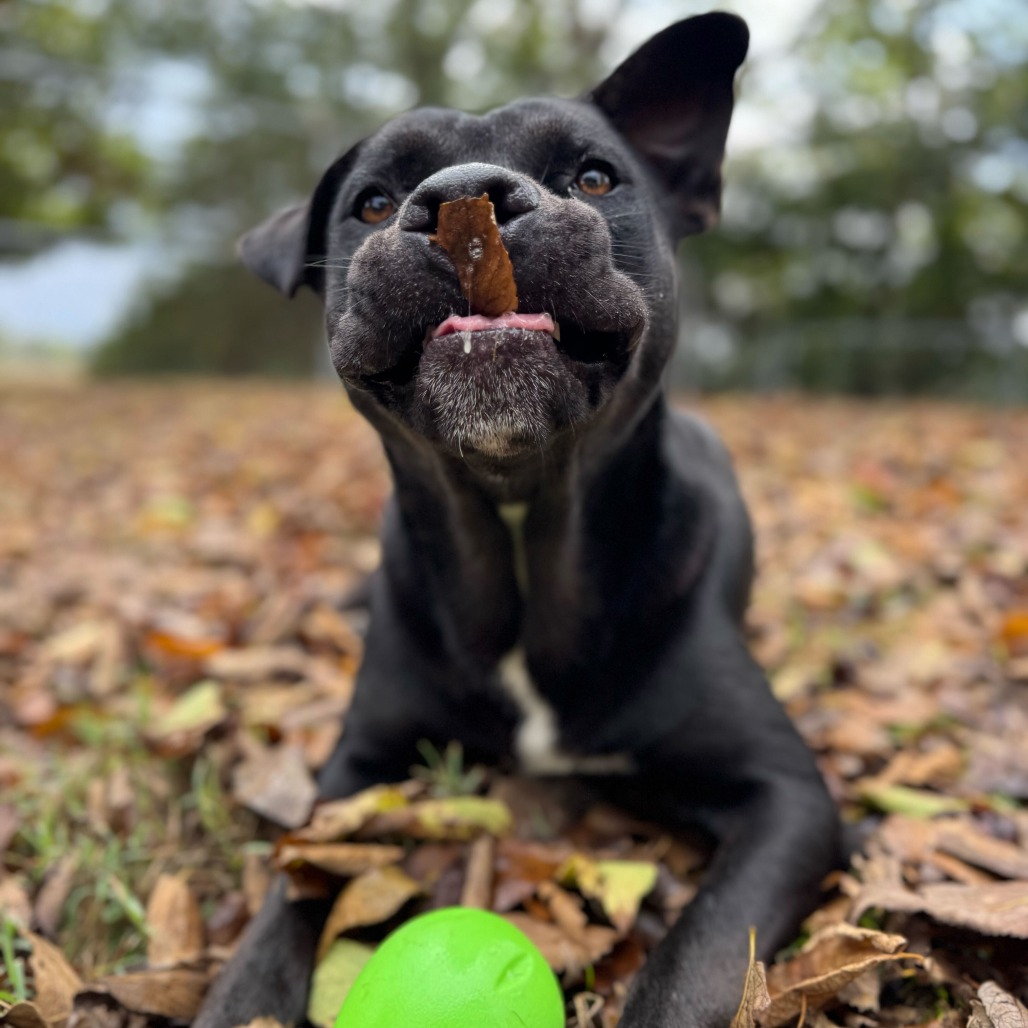 Bret — thumbnail 5