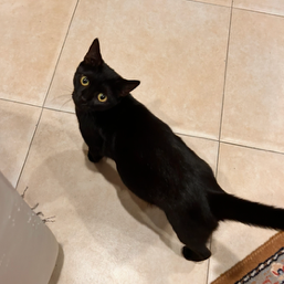 Winnie