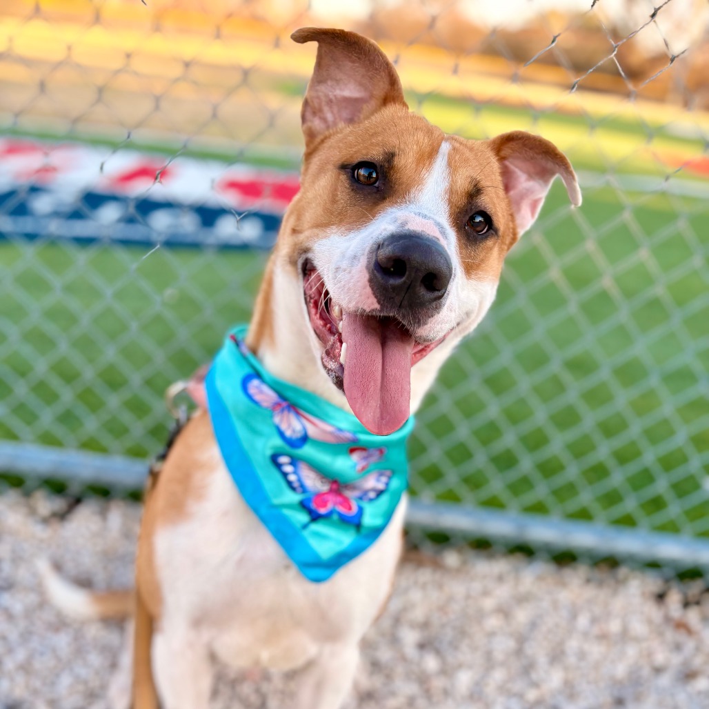 Jason — thumbnail 7