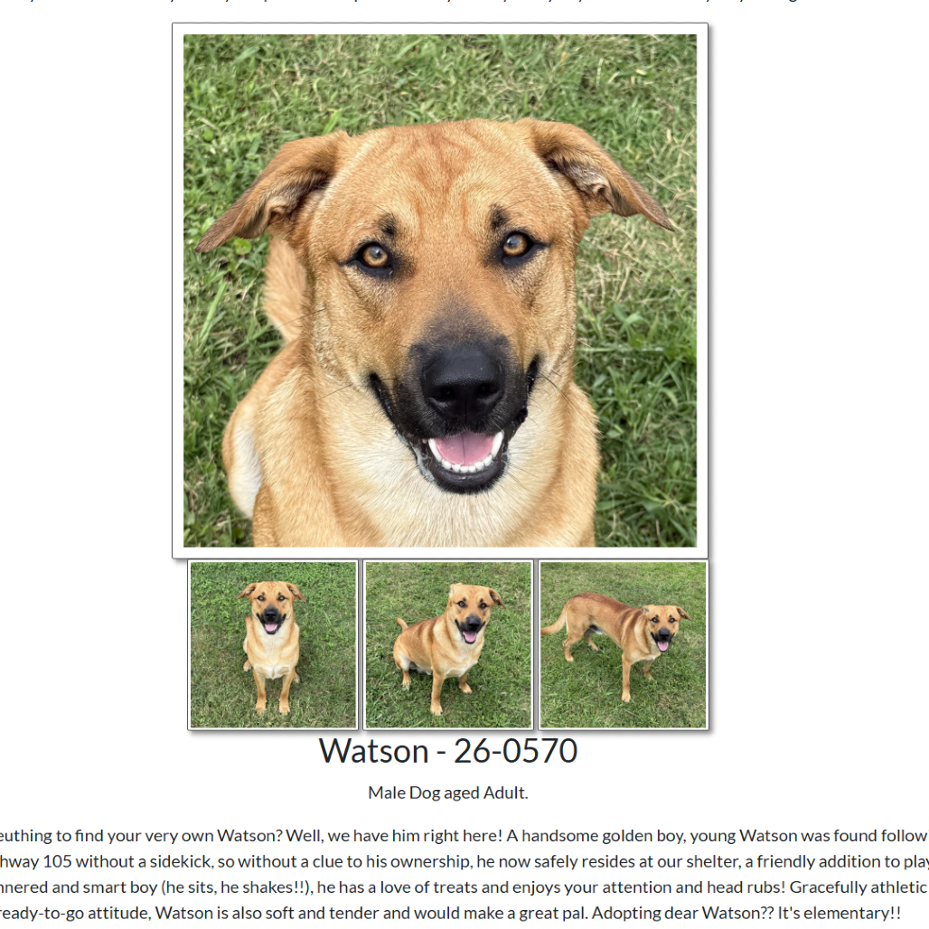 Watson