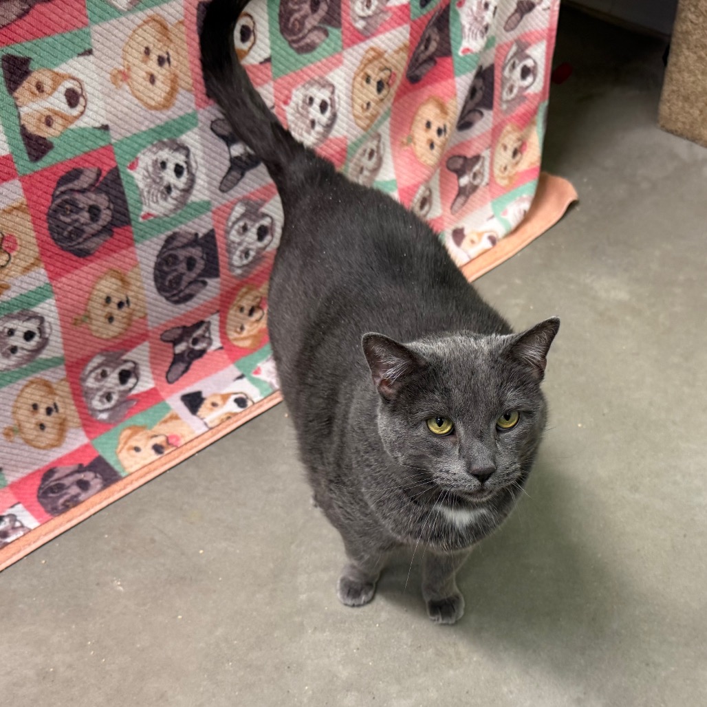 Photo of Bella and Maya