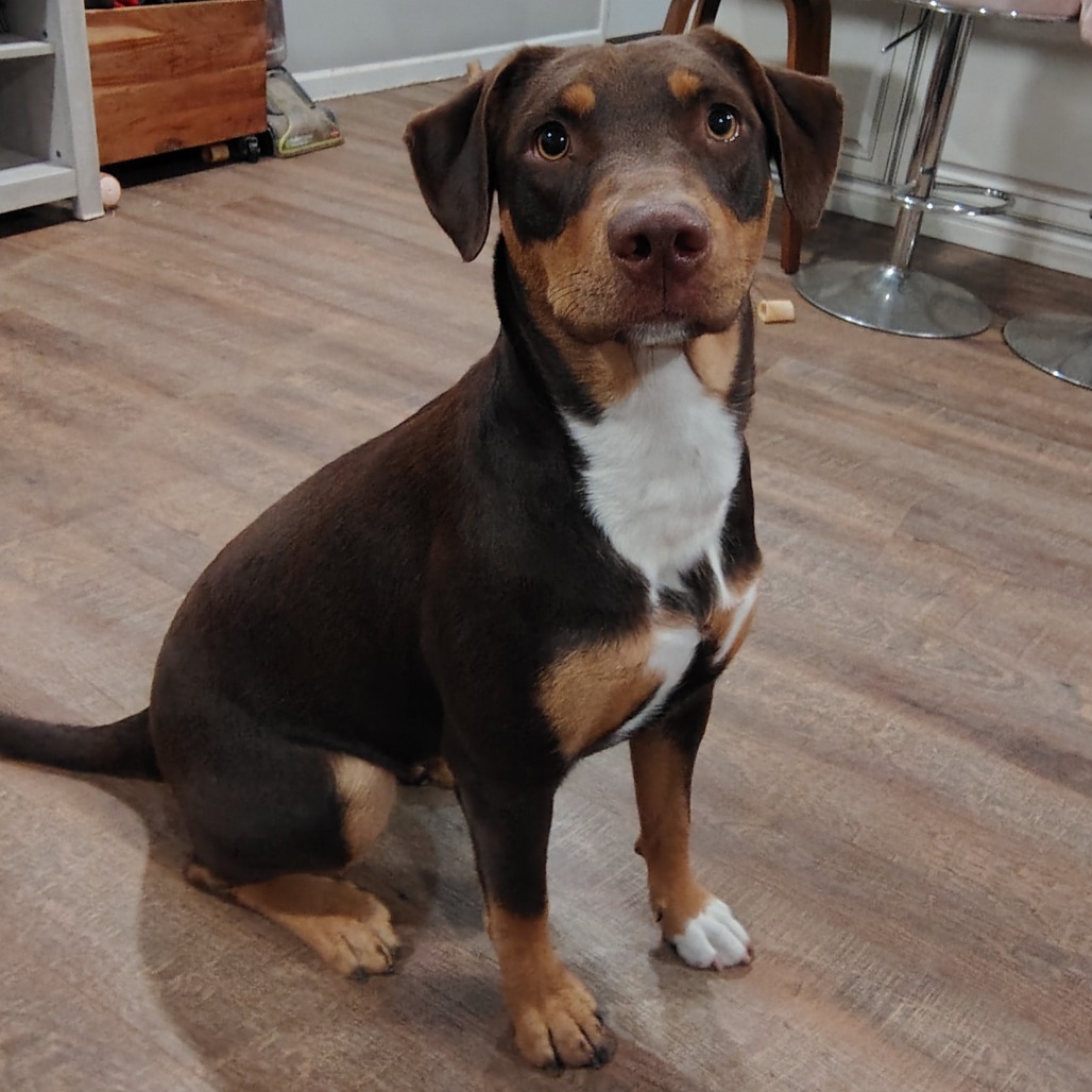 Penny