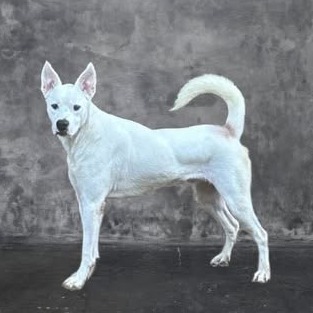 Photo of Oakley