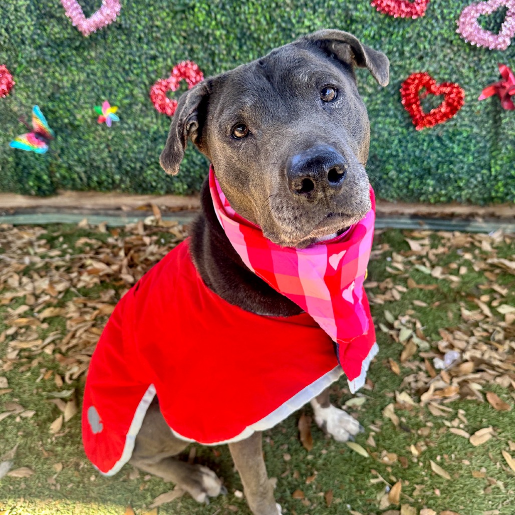 Kiki — thumbnail 7