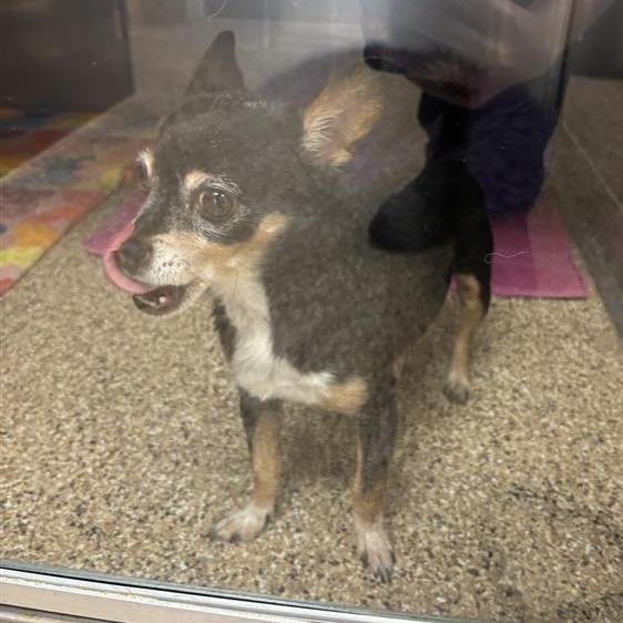Paco