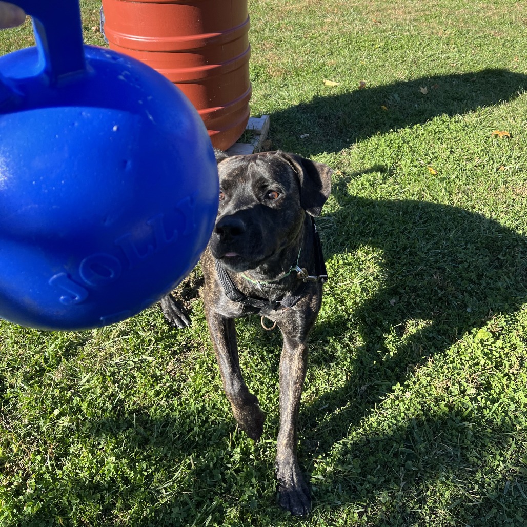 Earl, photo 33
