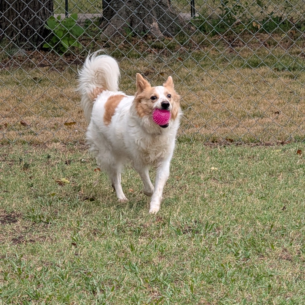 Sandy photo 27