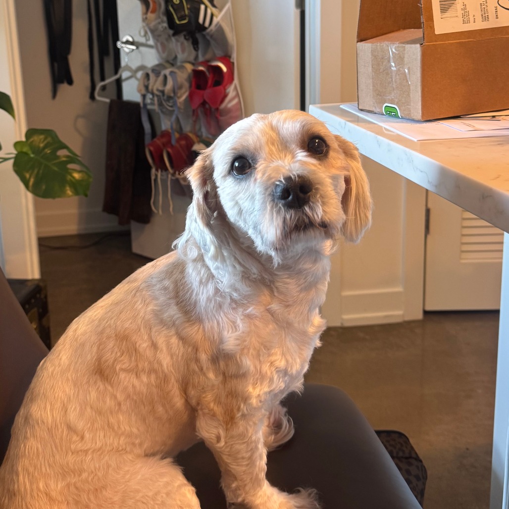 Sullivan — thumbnail 4