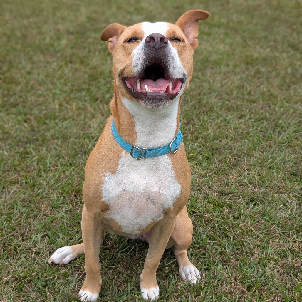 Bonnie 04-2230, photo 4
