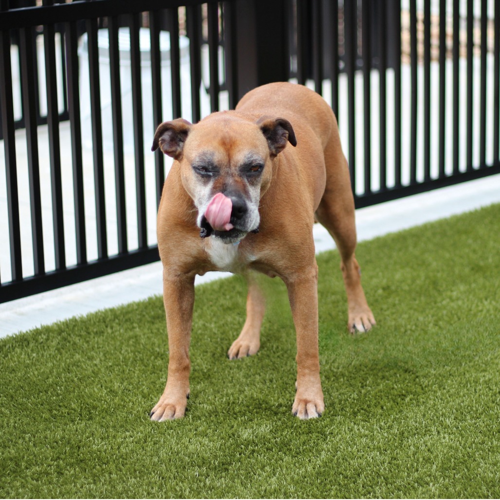 Dakota (Marge), photo 7