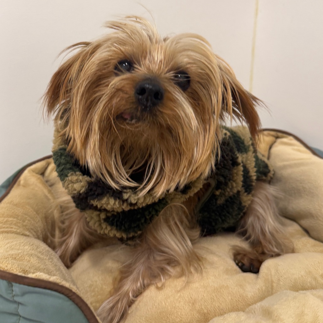 Billy — thumbnail 5