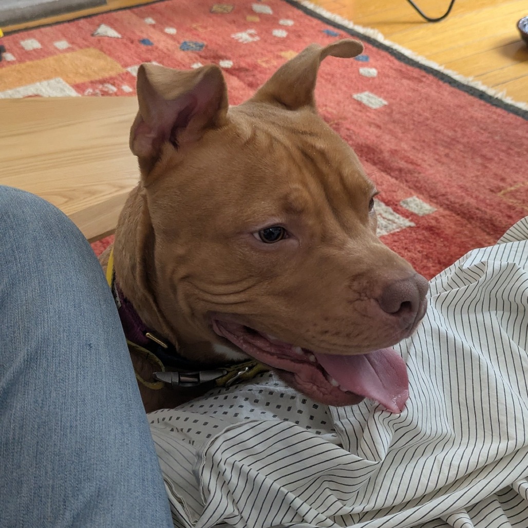 Photo of Minestrone 4