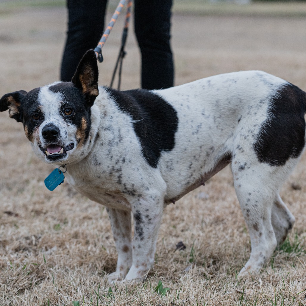 Lilo (Formerly Wish), photo 5