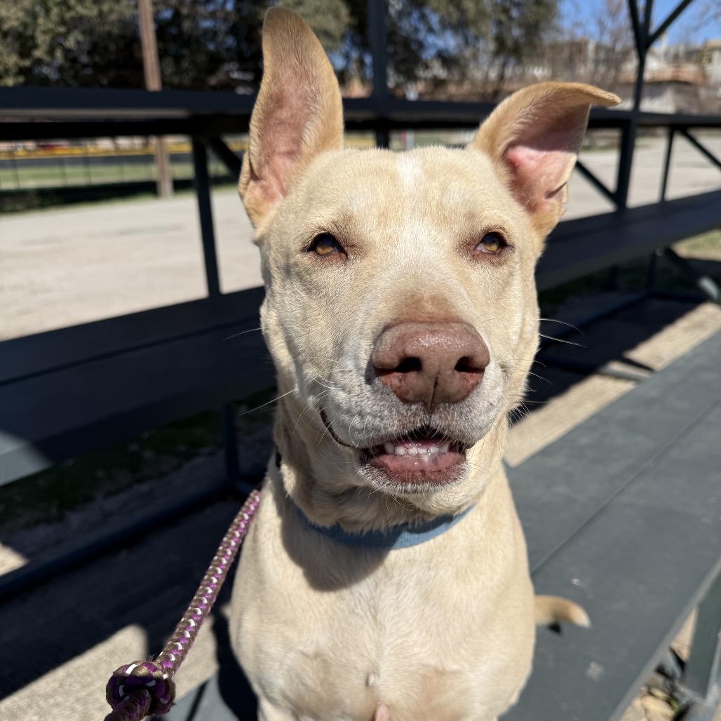 Kilo, additional photo