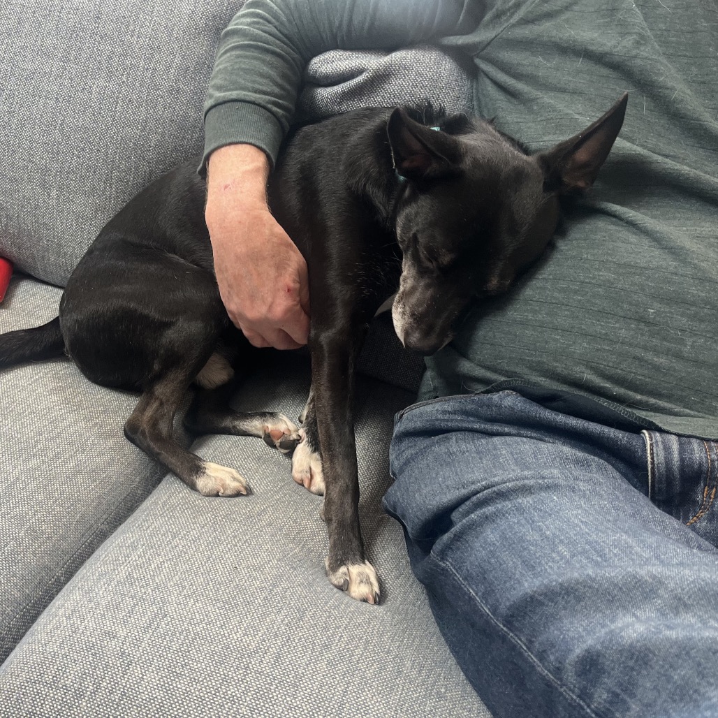 Jackson — thumbnail 3