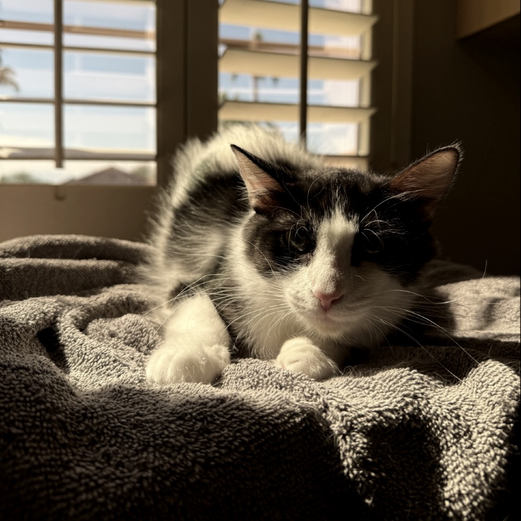 Mom Jeans picture #3