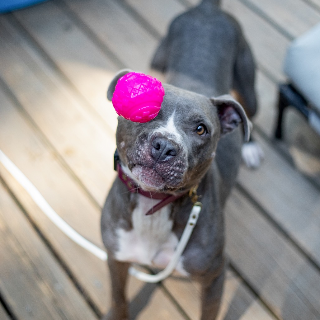 Star — thumbnail 5