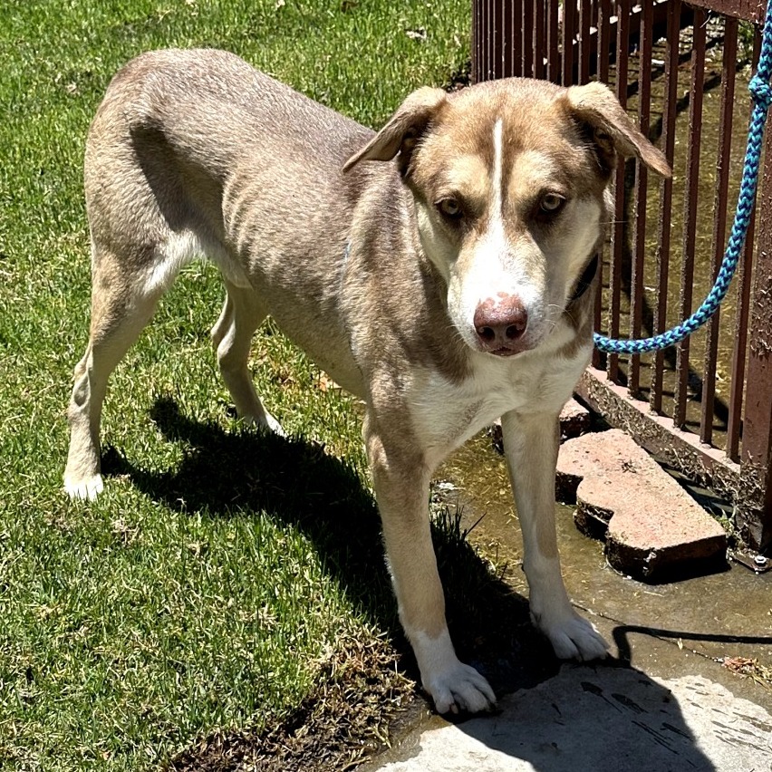 BANDIT, photo 3
