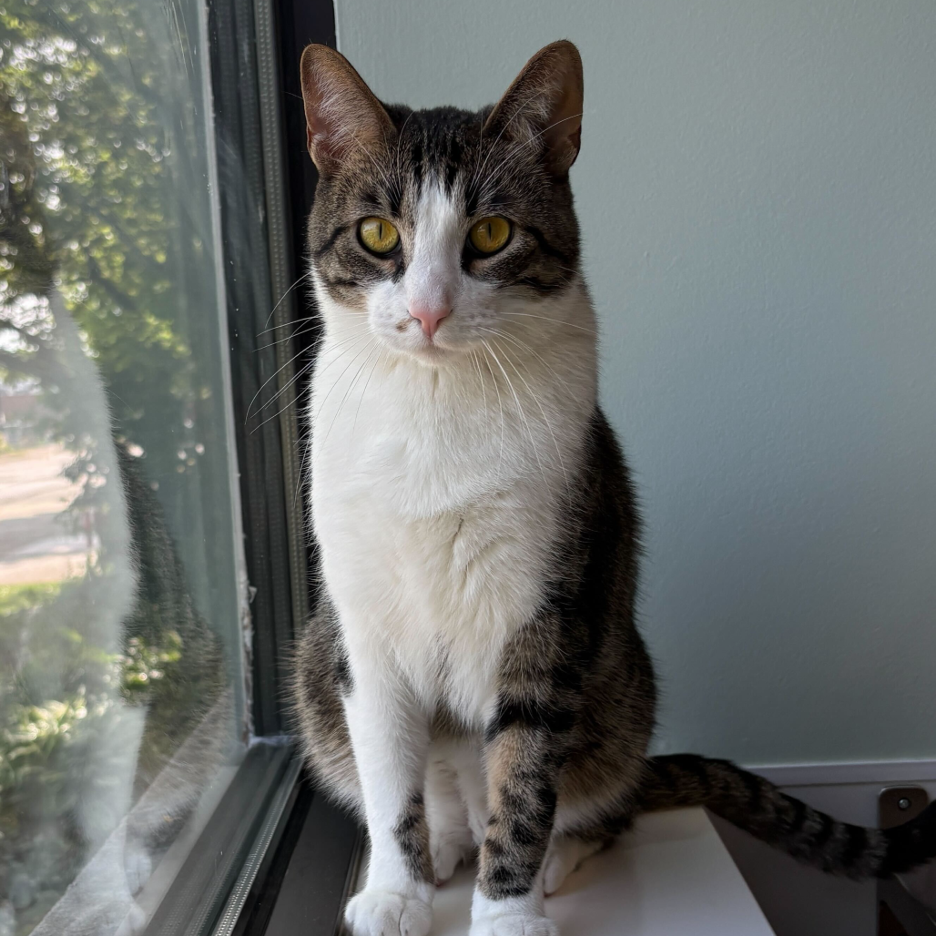 Burt (c2026), photo 10