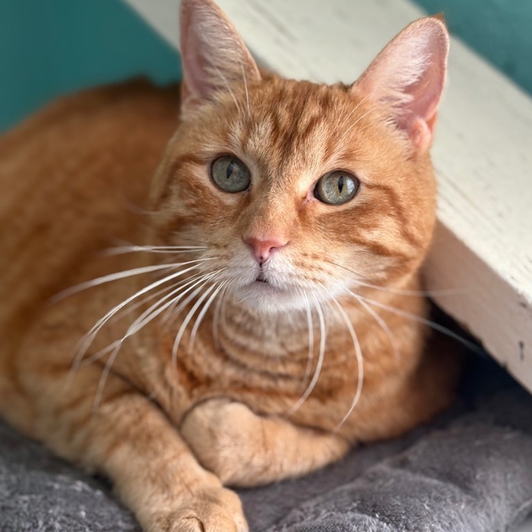 Another portrait of Mack