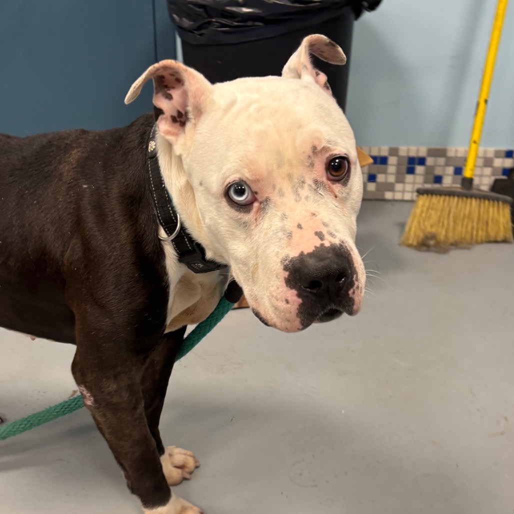 Carter Woolums — thumbnail 3