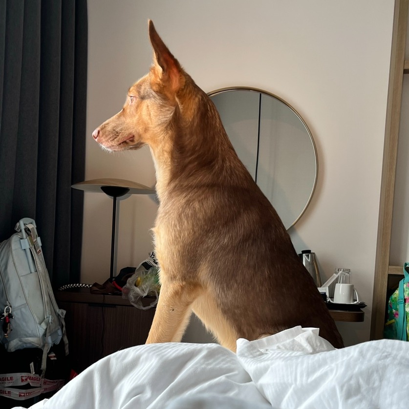 Darla — thumbnail 9