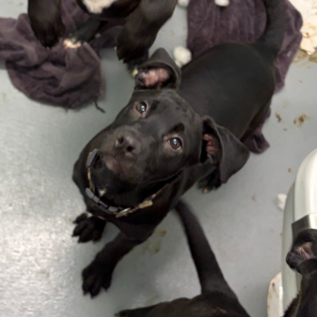 James Rush — thumbnail 9