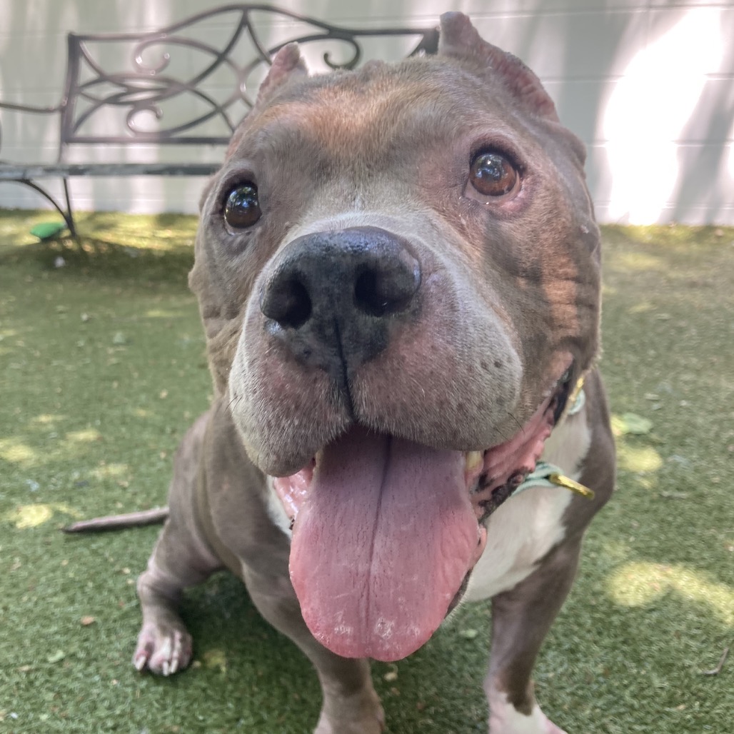 Zeus, additional photo