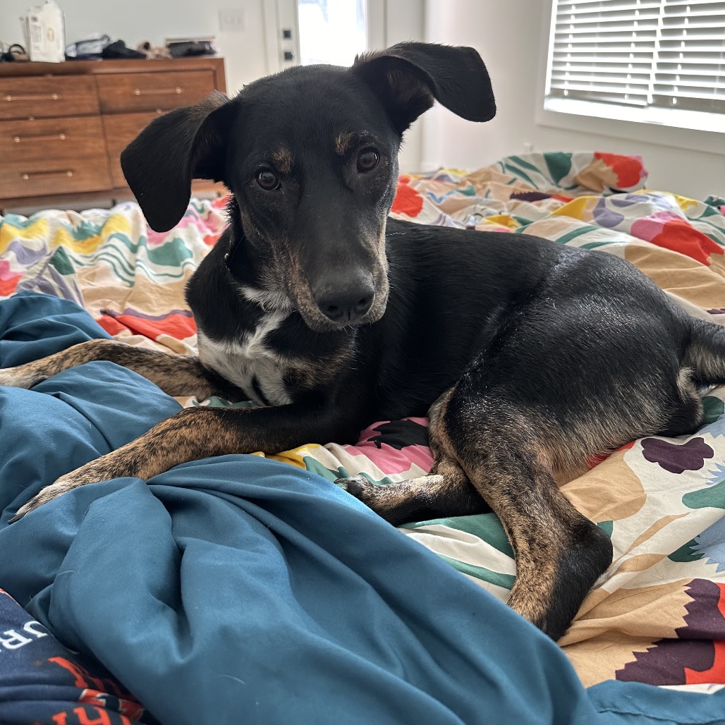 Lucille — thumbnail 5