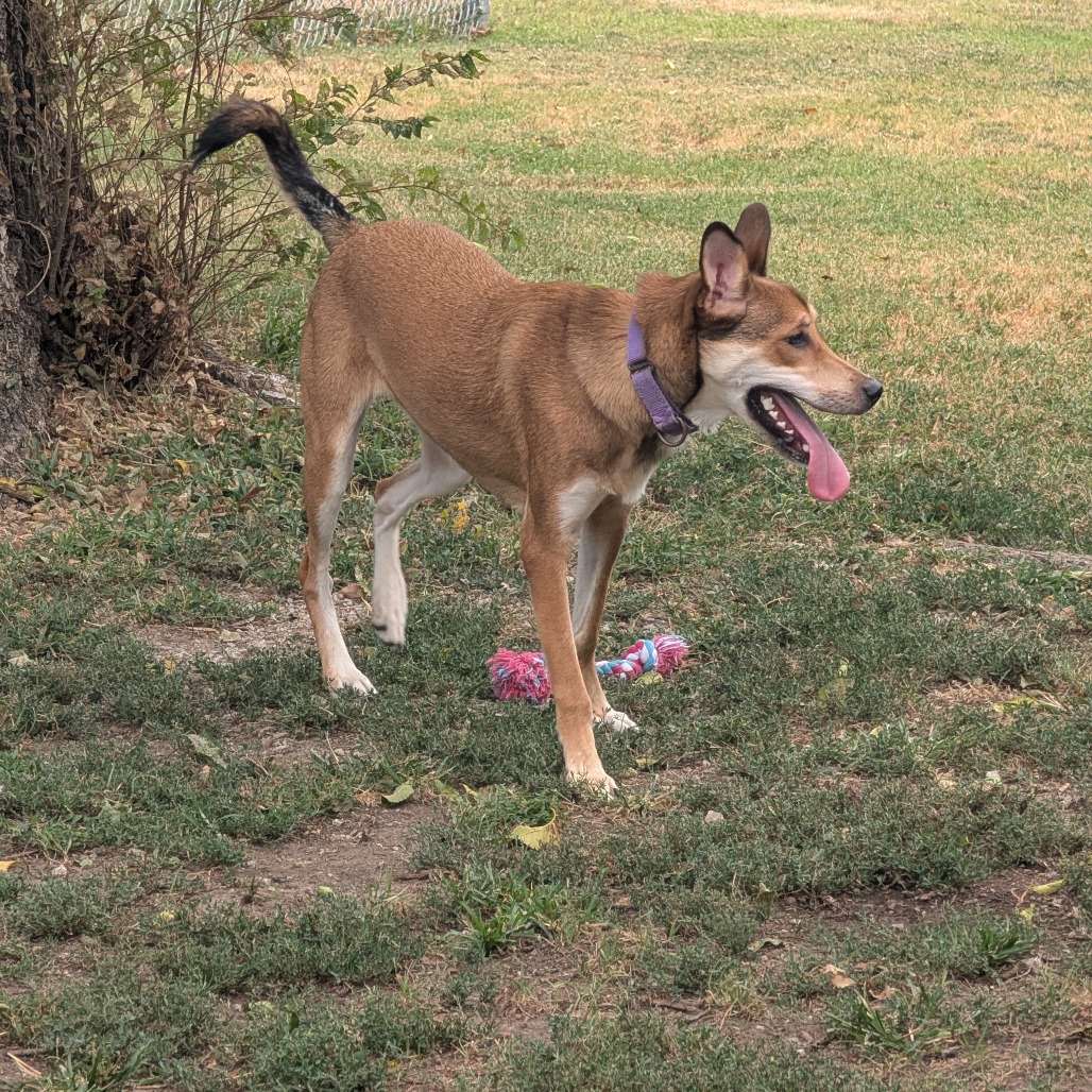 Cooper photo 12