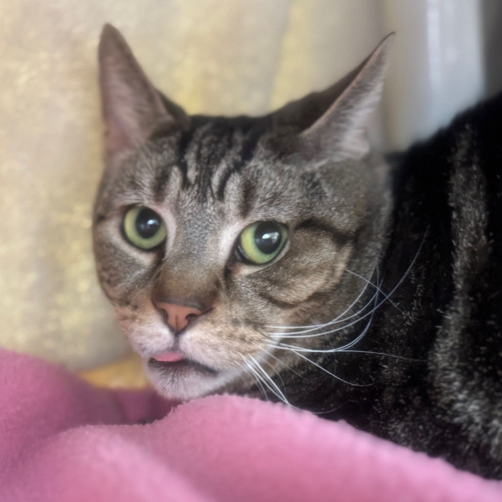 6e727fc97fe7ebf6f57ca38f268b723d