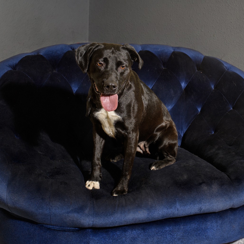 Photo of Hurley